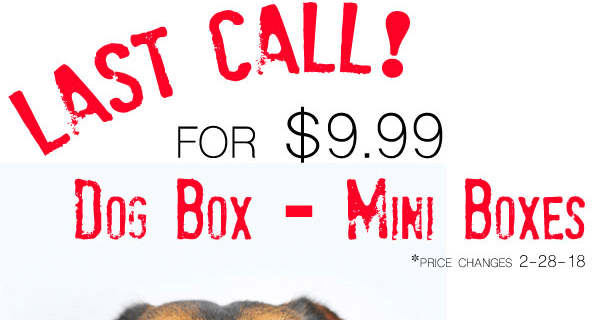 Pet Treater Mini Dog Box Price Increase – Lock In Price NOW!