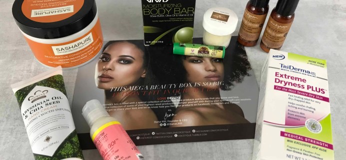 COCOTIQUE February 2018 Subscription Box Review + Coupon