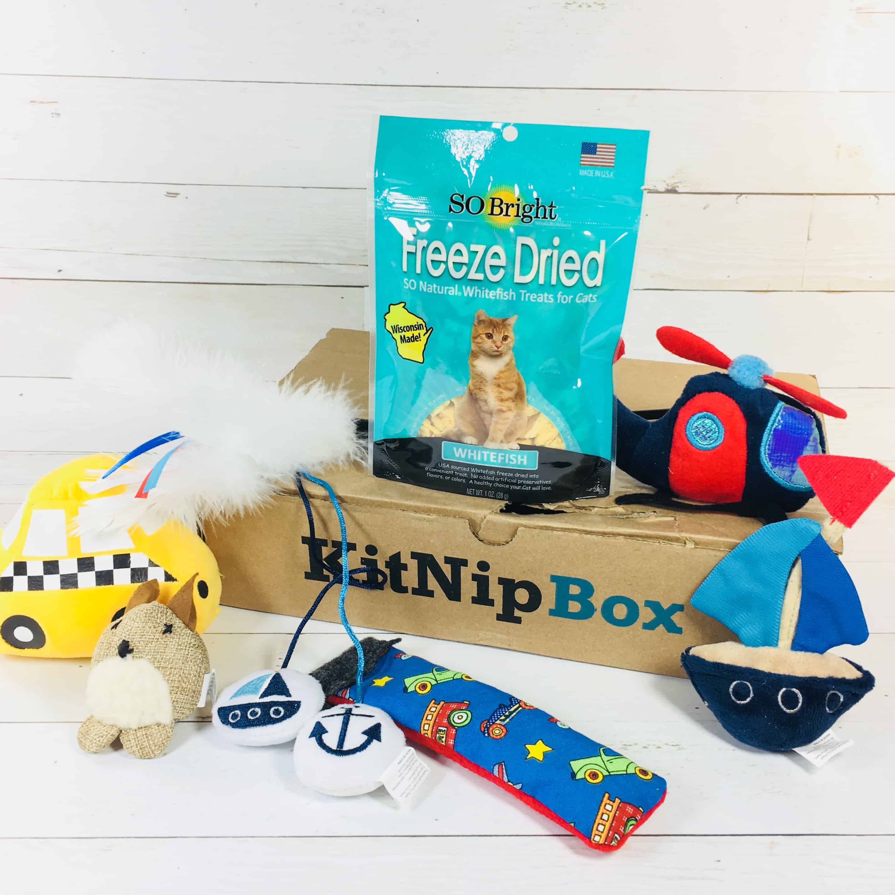 kitnipbox toys