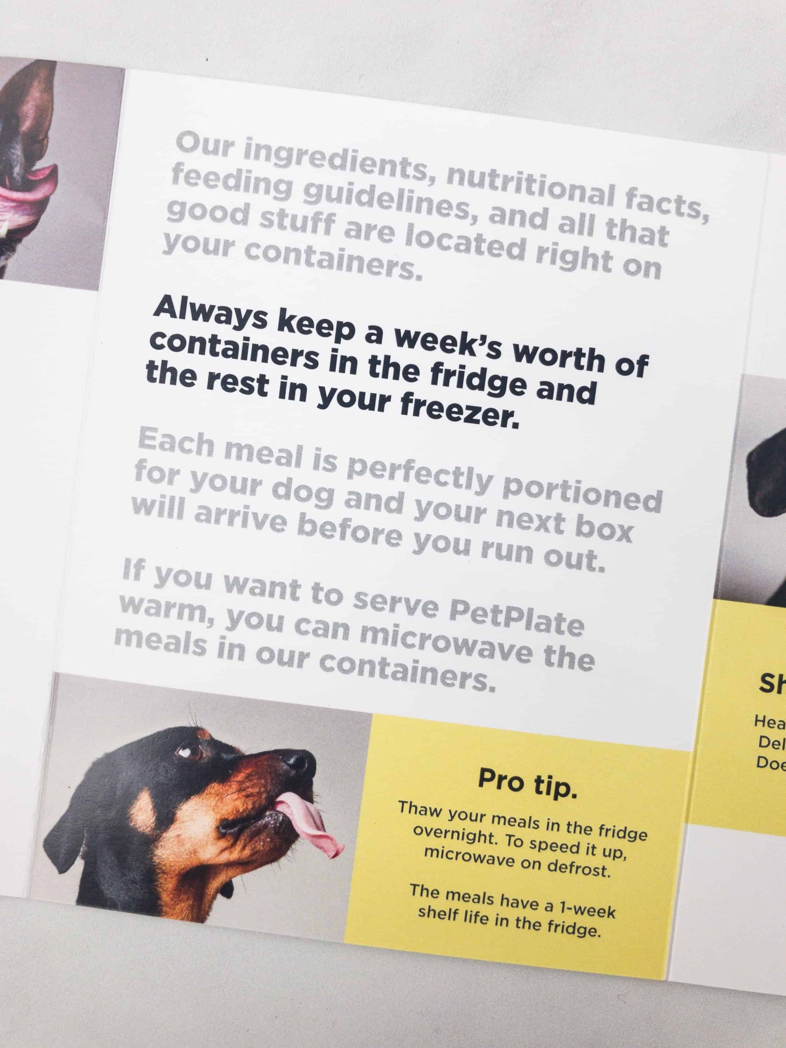 PetPlate Review + Coupon! Hello Subscription