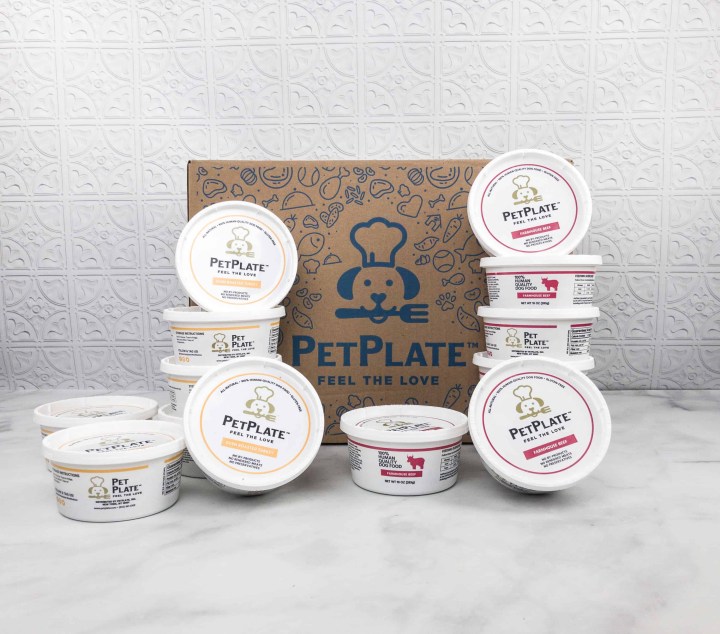 PetPlate Review + Coupon! hello subscription