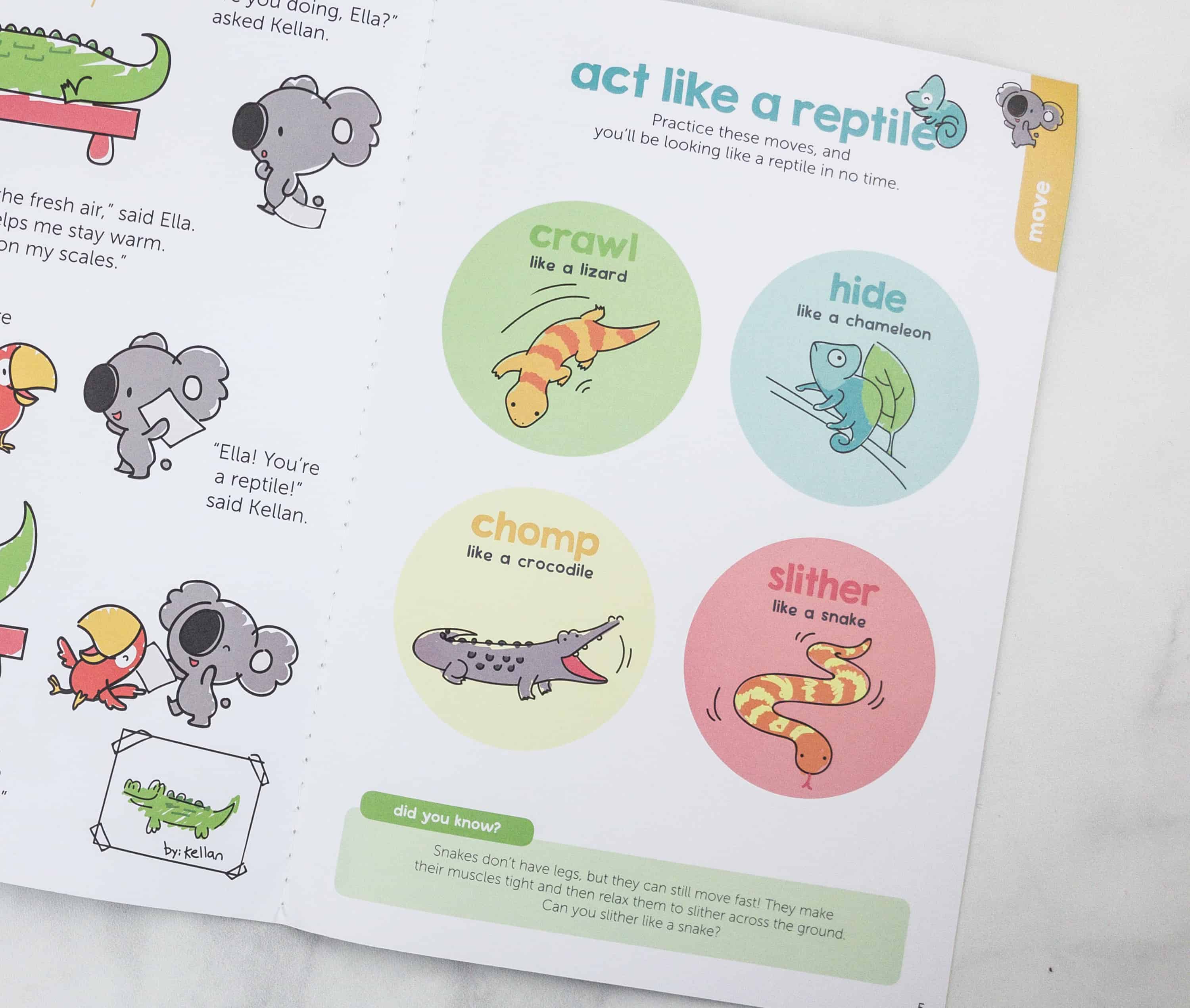 Koala Crate Subscription Box Review & Coupon Reptiles Hello Subscription