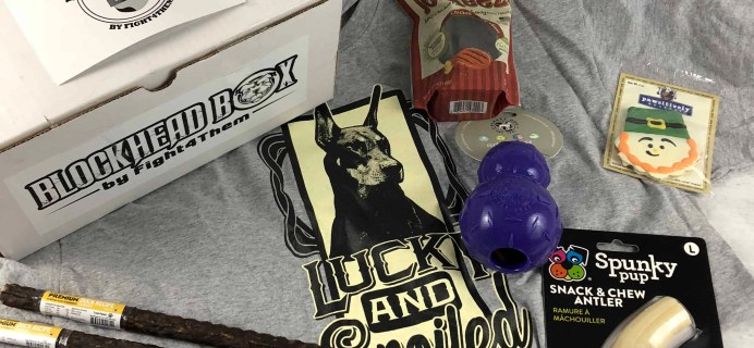 Blockhead Box April 2018 Subscription Box Review + Coupon