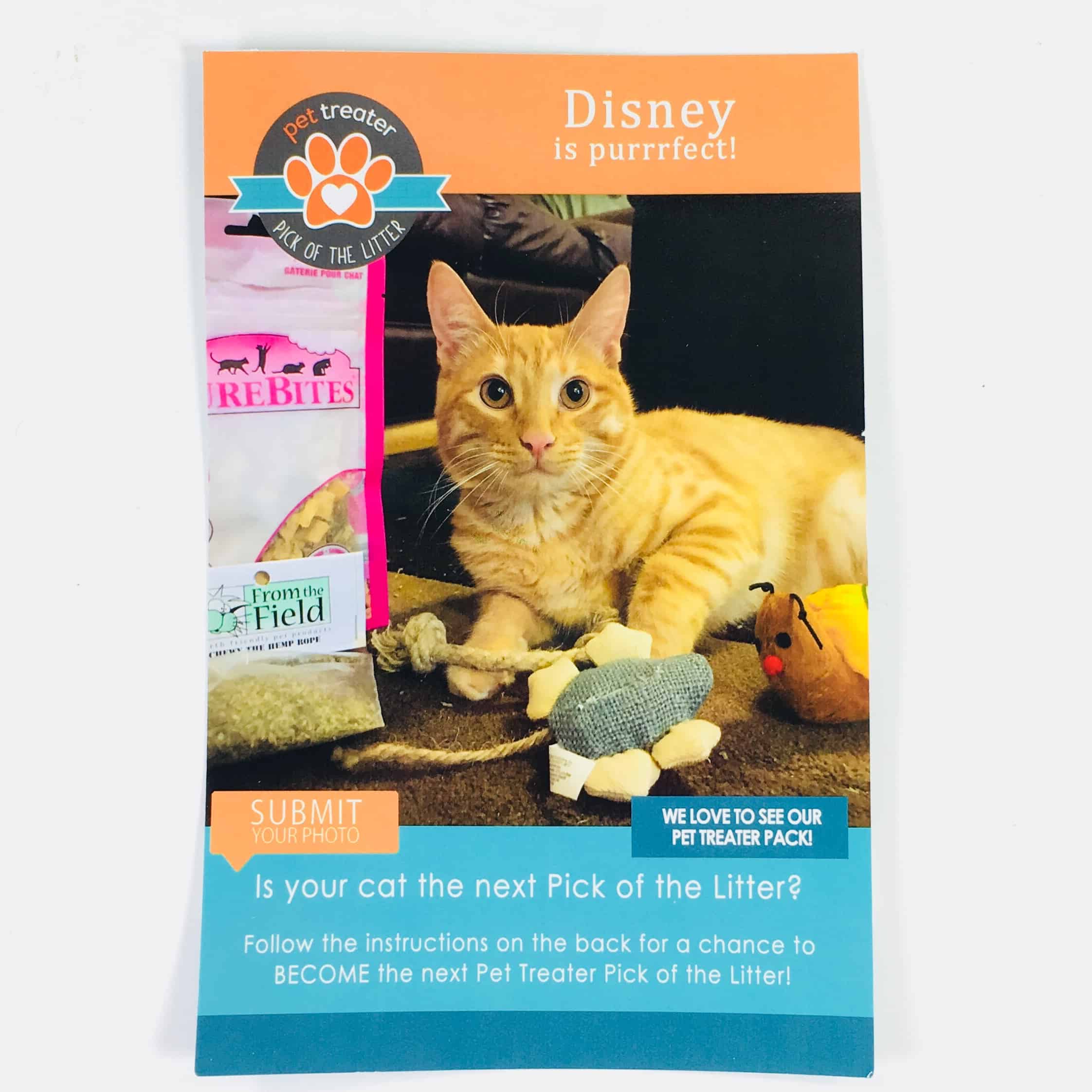 Pet Treater Cat Pack April 2018 Subscription Box Review Coupon