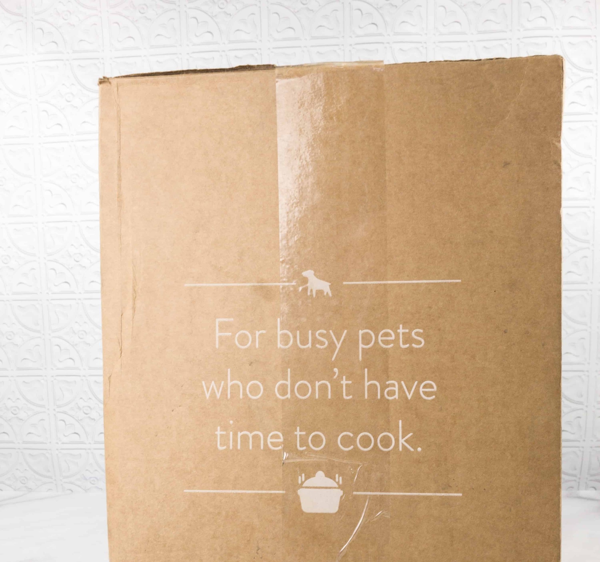 Nom Nom Fresh Dog Food Box Review & 20 Off Coupon Hello Subscription