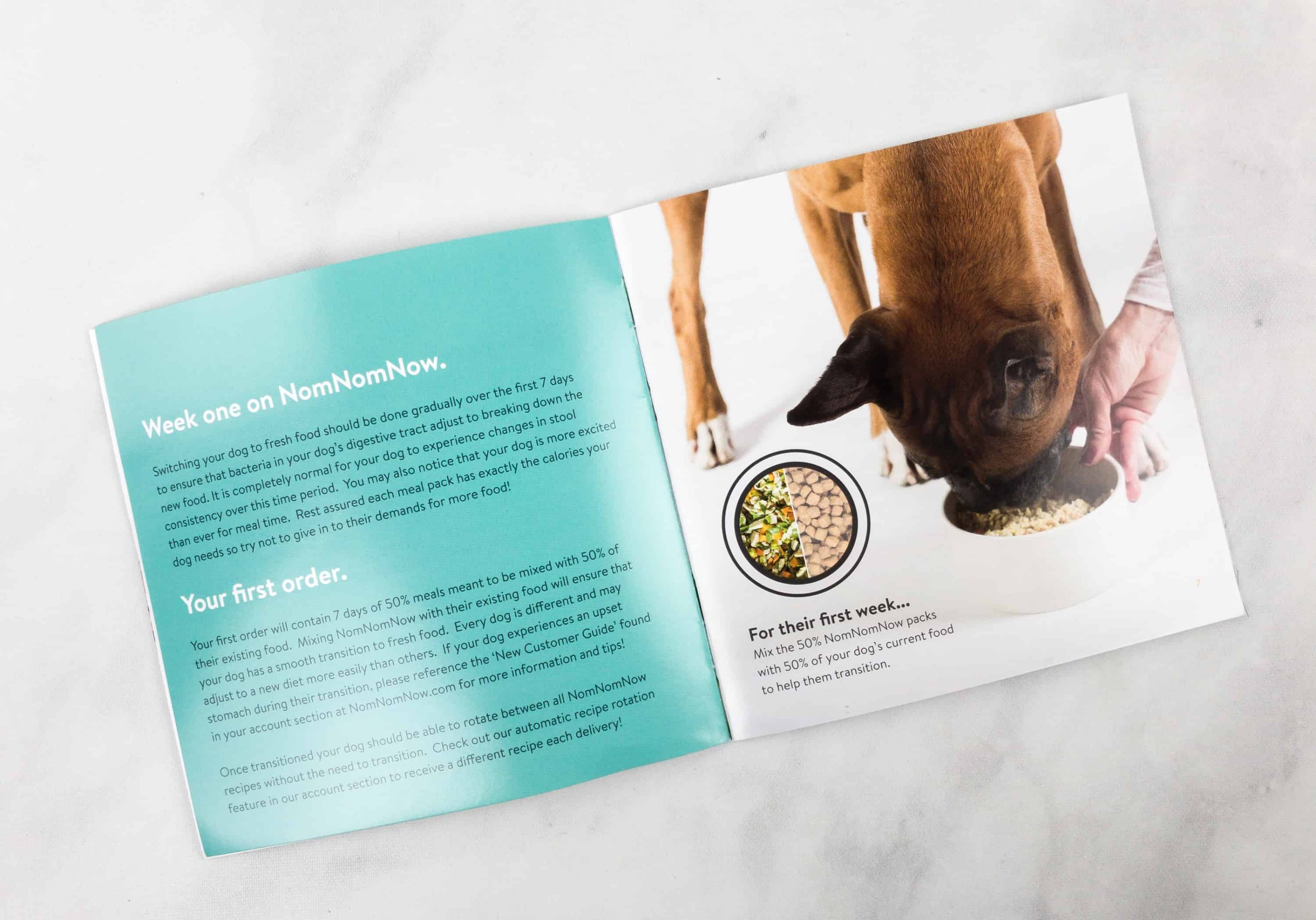 Nom Nom Fresh Dog Food Box Review & 20 Off Coupon hello subscription