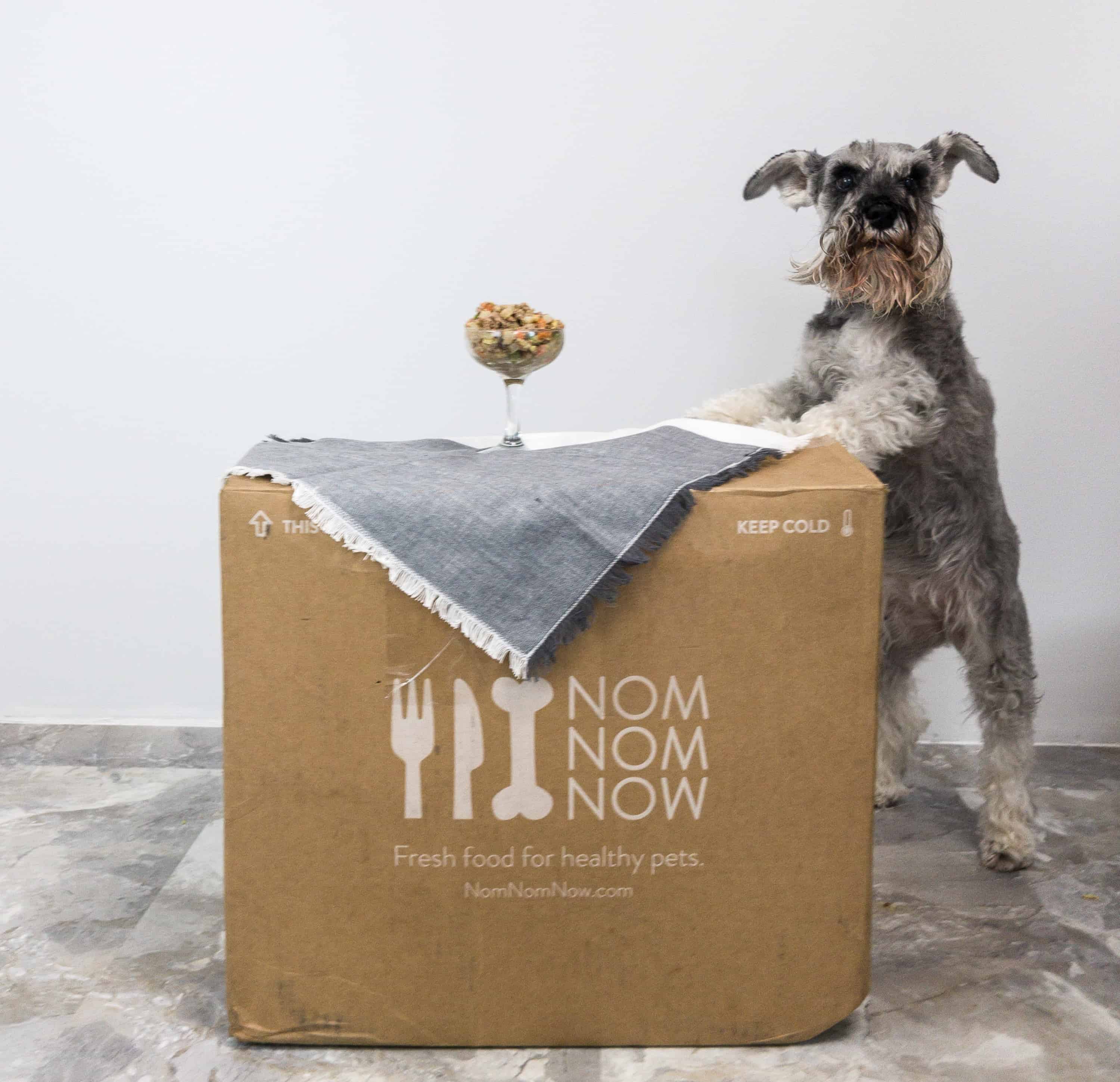 Nom Nom Review - Is Fresh Dog Food Really Worth It?