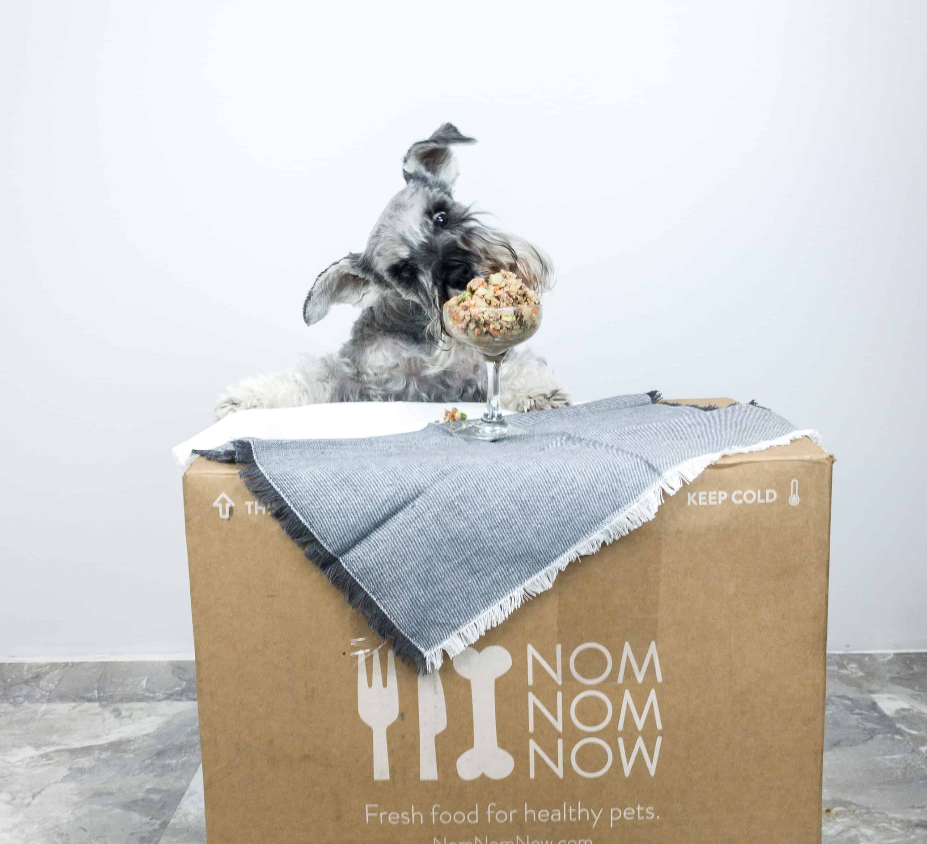 Nom Nom Fresh Dog Food Box Review & 20 Off Coupon hello subscription