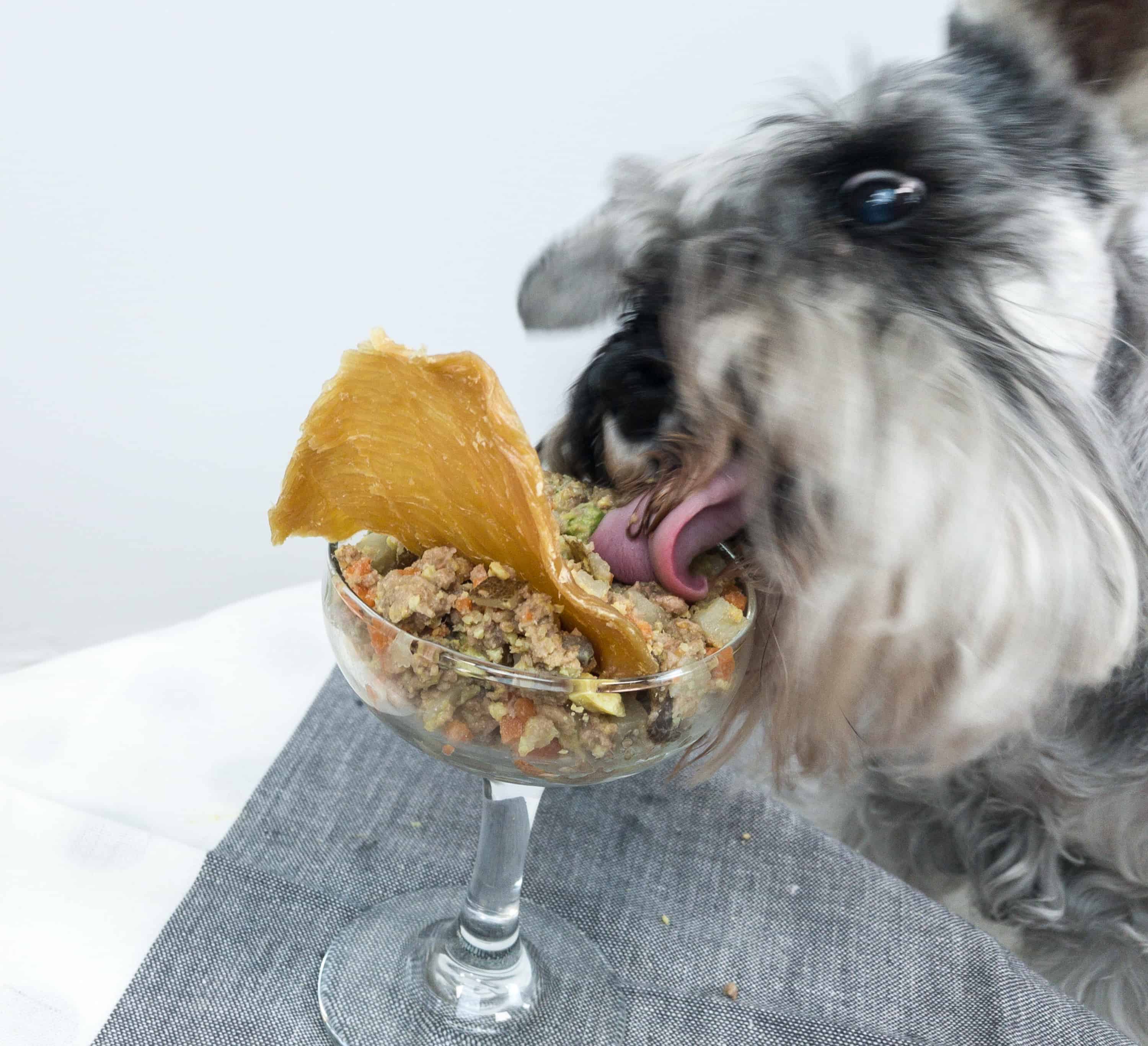 Nom Nom Fresh Dog Food Box Review & 20 Off Coupon hello subscription