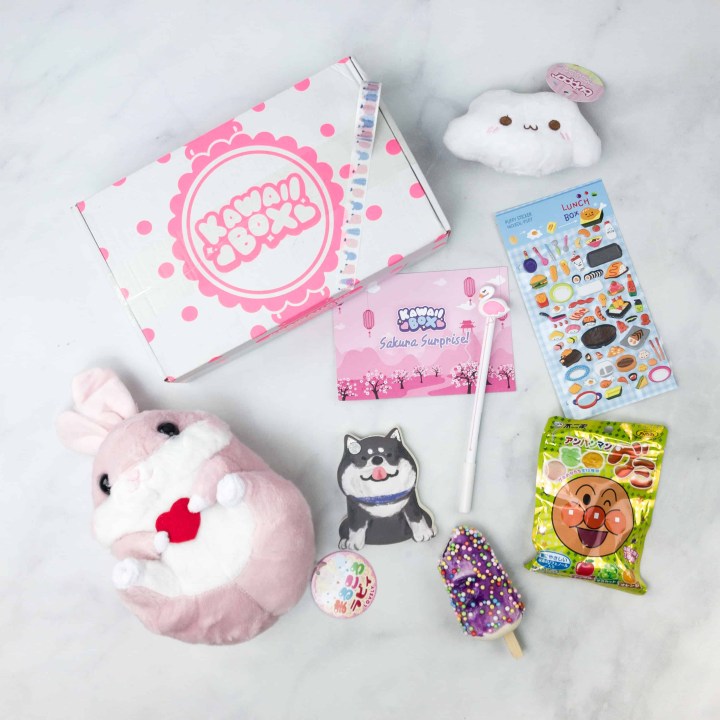 Kawaii Box April 2018 Subscription Box Review - hello ...