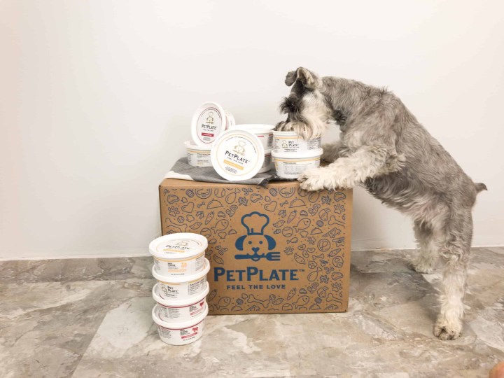 PetPlate Fall Sale Coupon Get 60 Off First Box! hello subscription