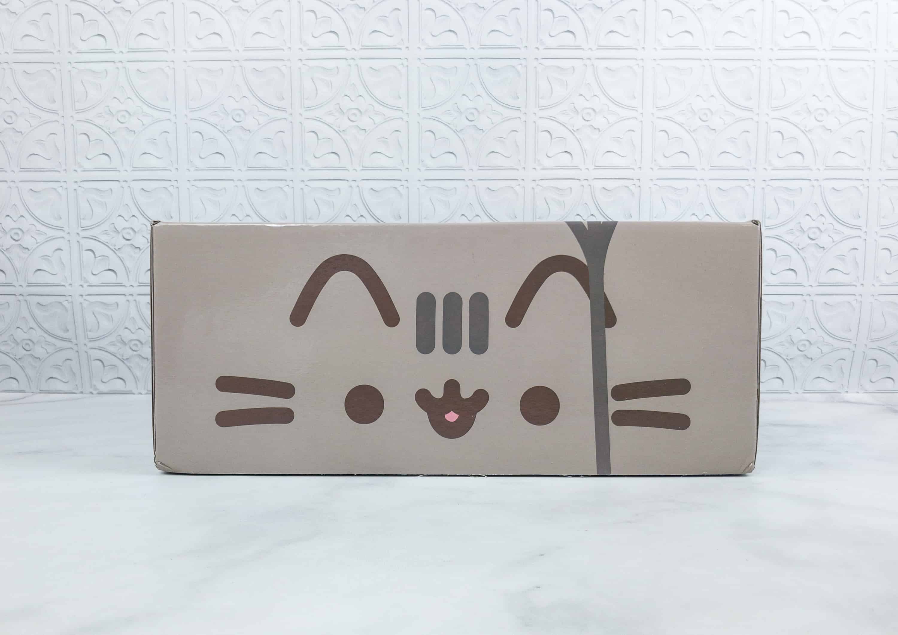 Pusheen Exclusive Subscription Box Spring 2018 Photo Clips