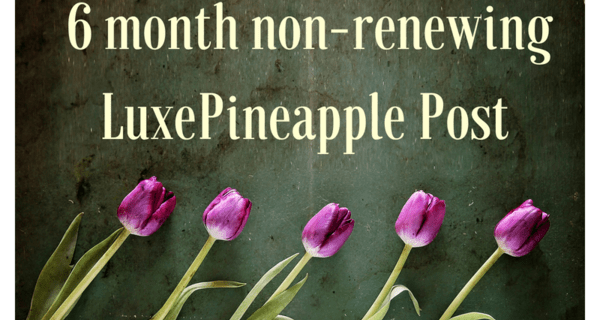 LuxePineapple Post Mother’s Day Deal: Get Prepaid 6 Month Subscription For Only $100!
