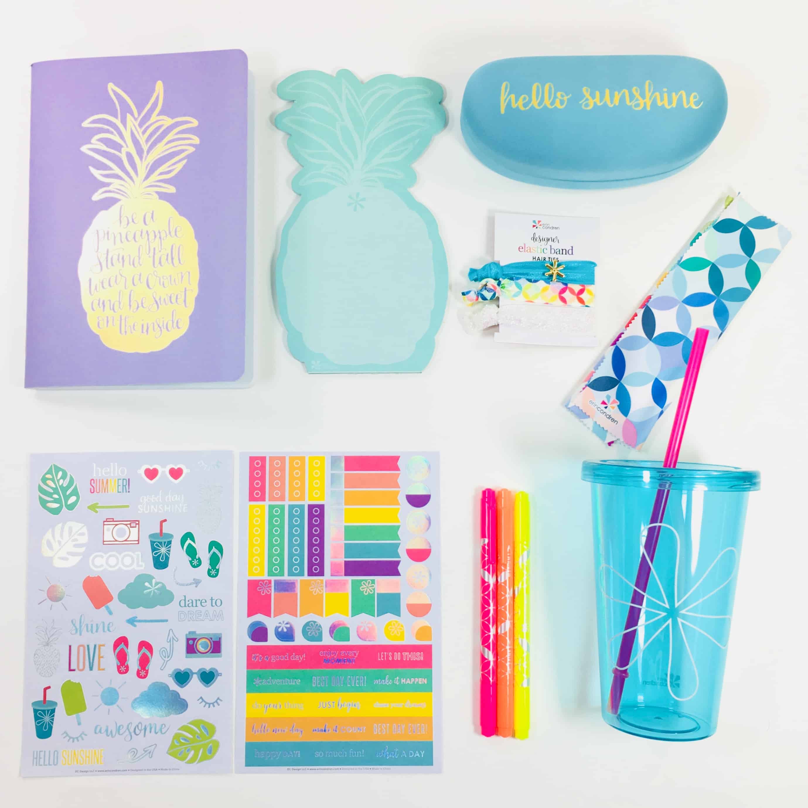 Erin Condren Seasonal Surprise Box Summer 2018 Box Review Hello