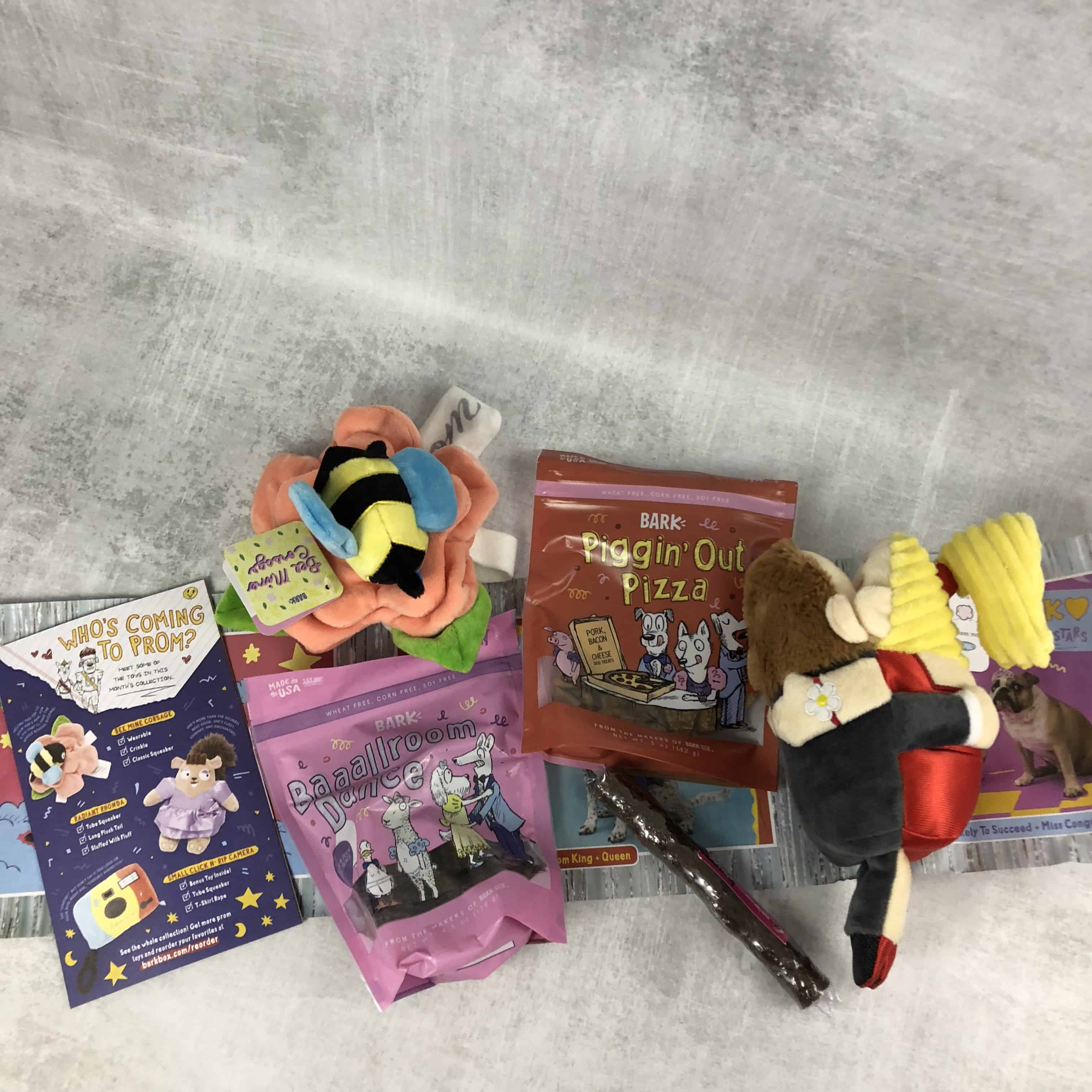 Barkbox June 2018 Subscription Box Review + Coupon - Large Dog