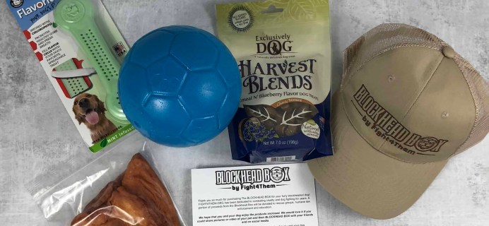 Blockhead Box July 2018 Subscription Box Review + Coupon