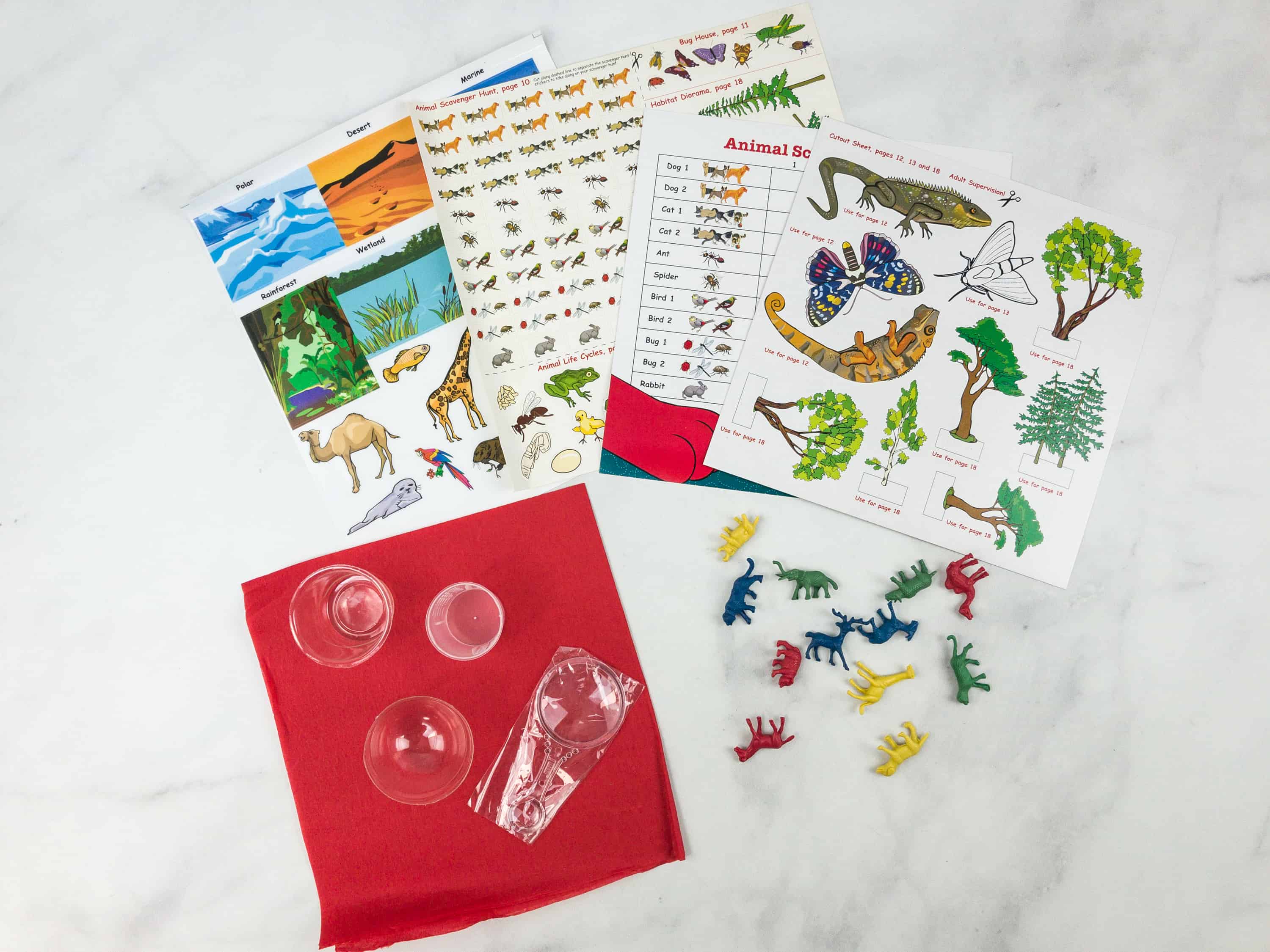 clifford science kits