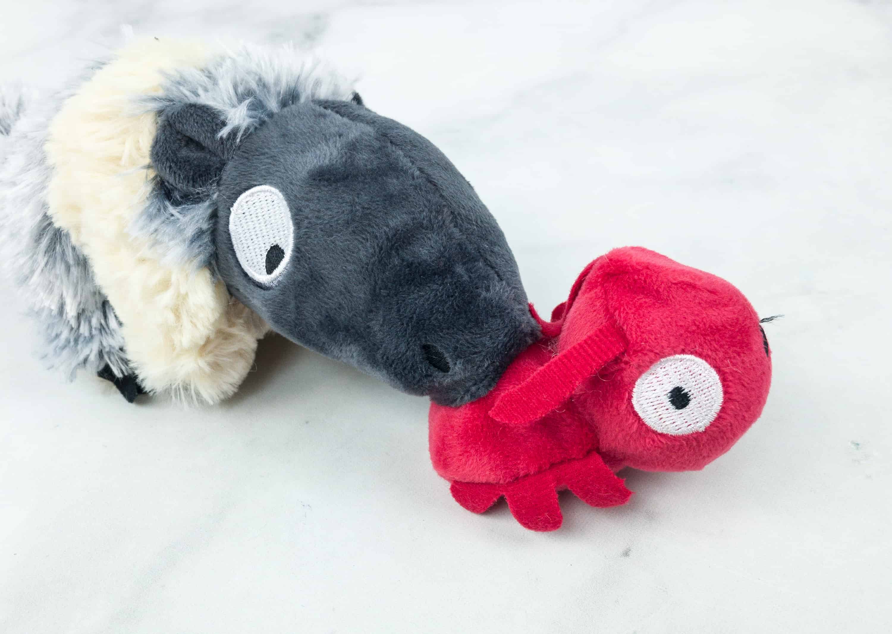 barkbox anteater