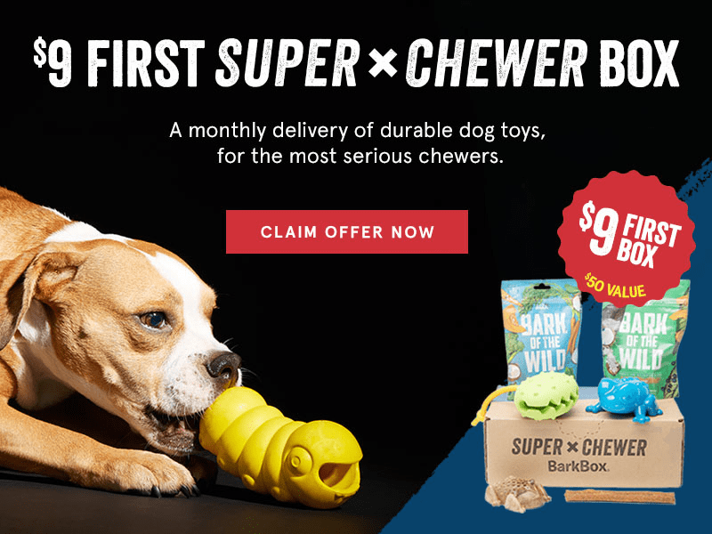 BarkBox Super Chewer Promo First Box 9 with 6+ Month Subscription