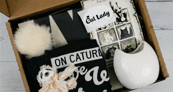 Cat Lady Box Deal: Get $5 Off Your First Box! TODAY ONLY!
