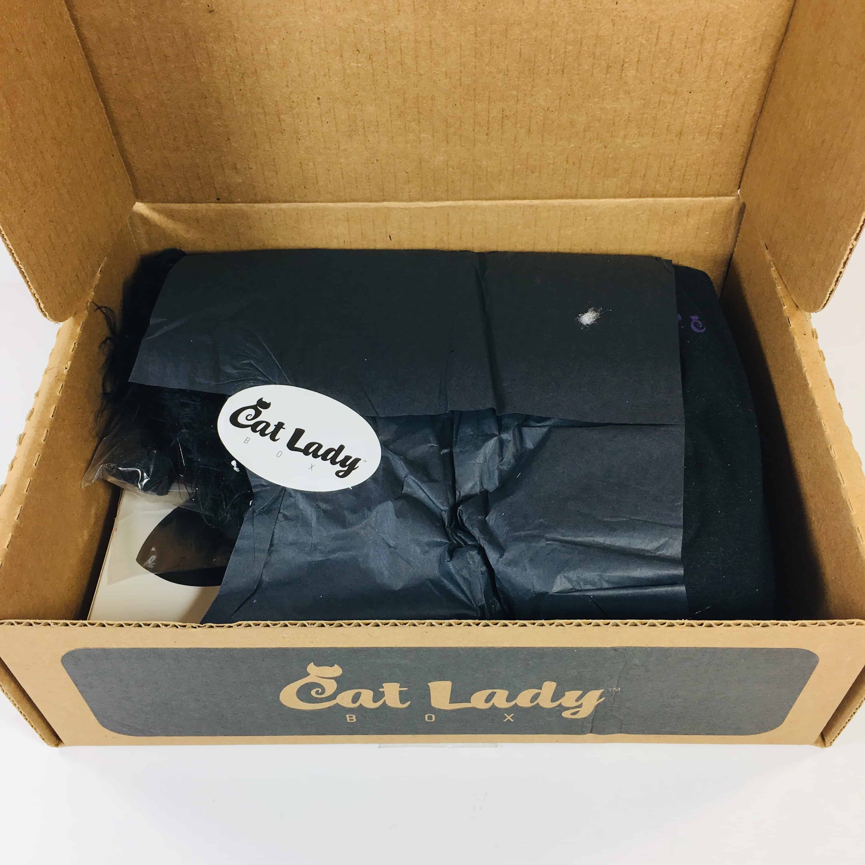 Cat Lady Box October 18 Subscription Box Review Coupon Hello Subscription