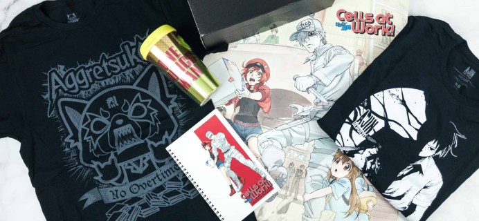 Loot Anime September 2018 Subscription Box Review & Coupons – FIERCE