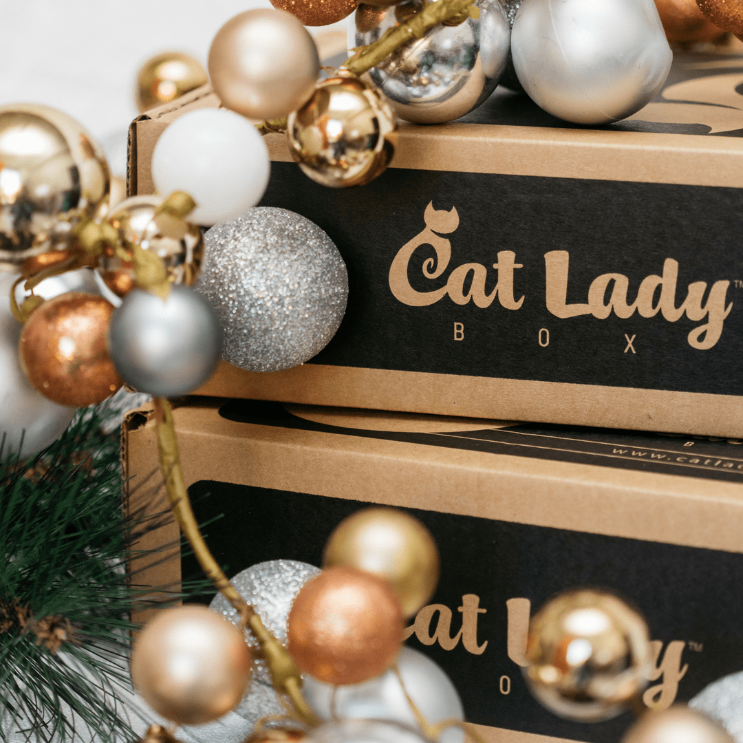 Cat Lady Box December 18 Spoiler Coupon Hello Subscription