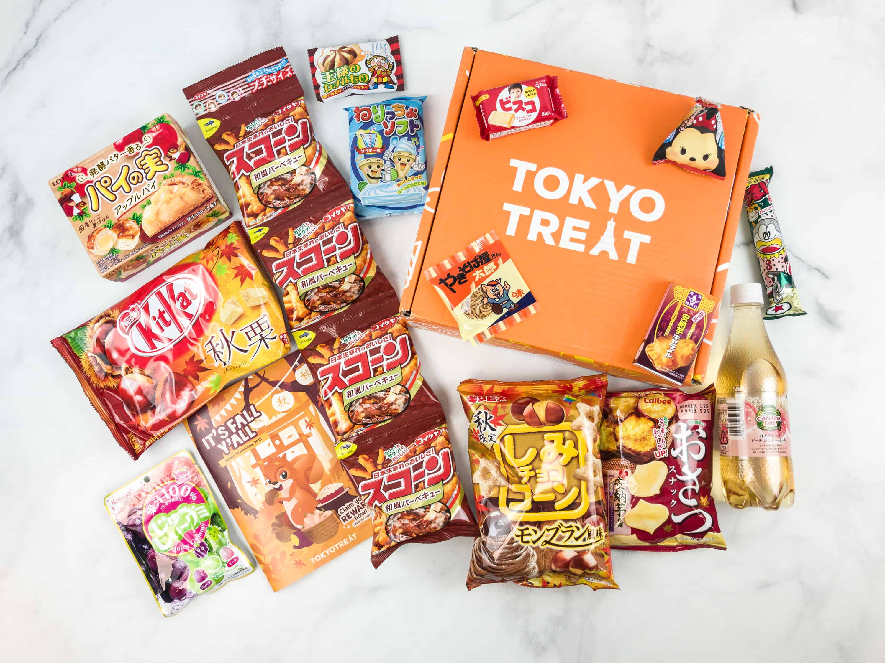 Tokyo Treat Review September 2018: Fruity Flavors