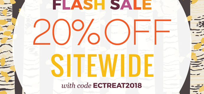 Erin Condren Surprise Flash Sale: Get 20% Off Sitewide!