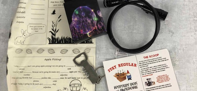 October 2018 Mini Stay Regular Monthly Mystery Box Subscription Box Review