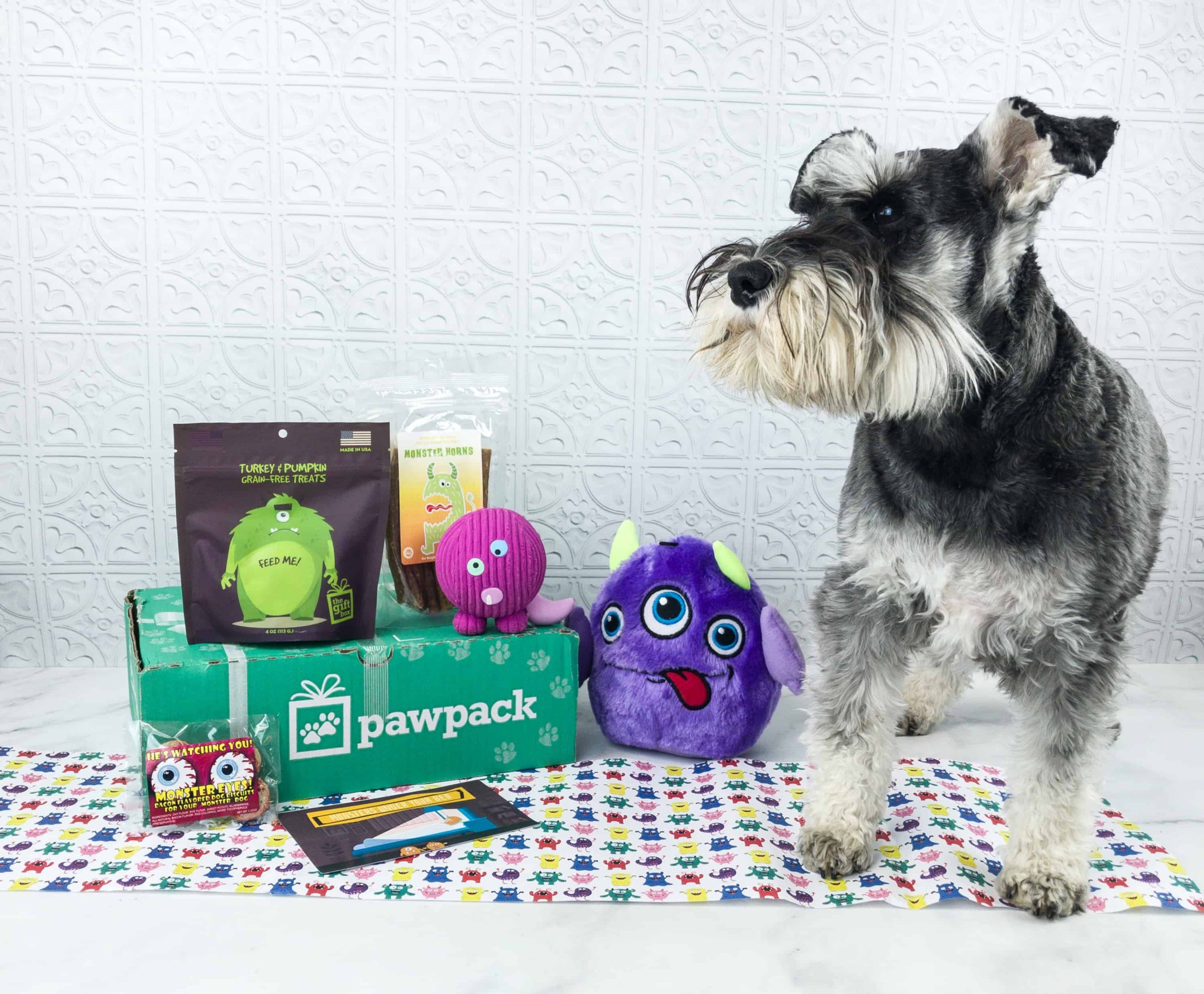 PawPack Reviews Get All The Details At Hello Subscription!