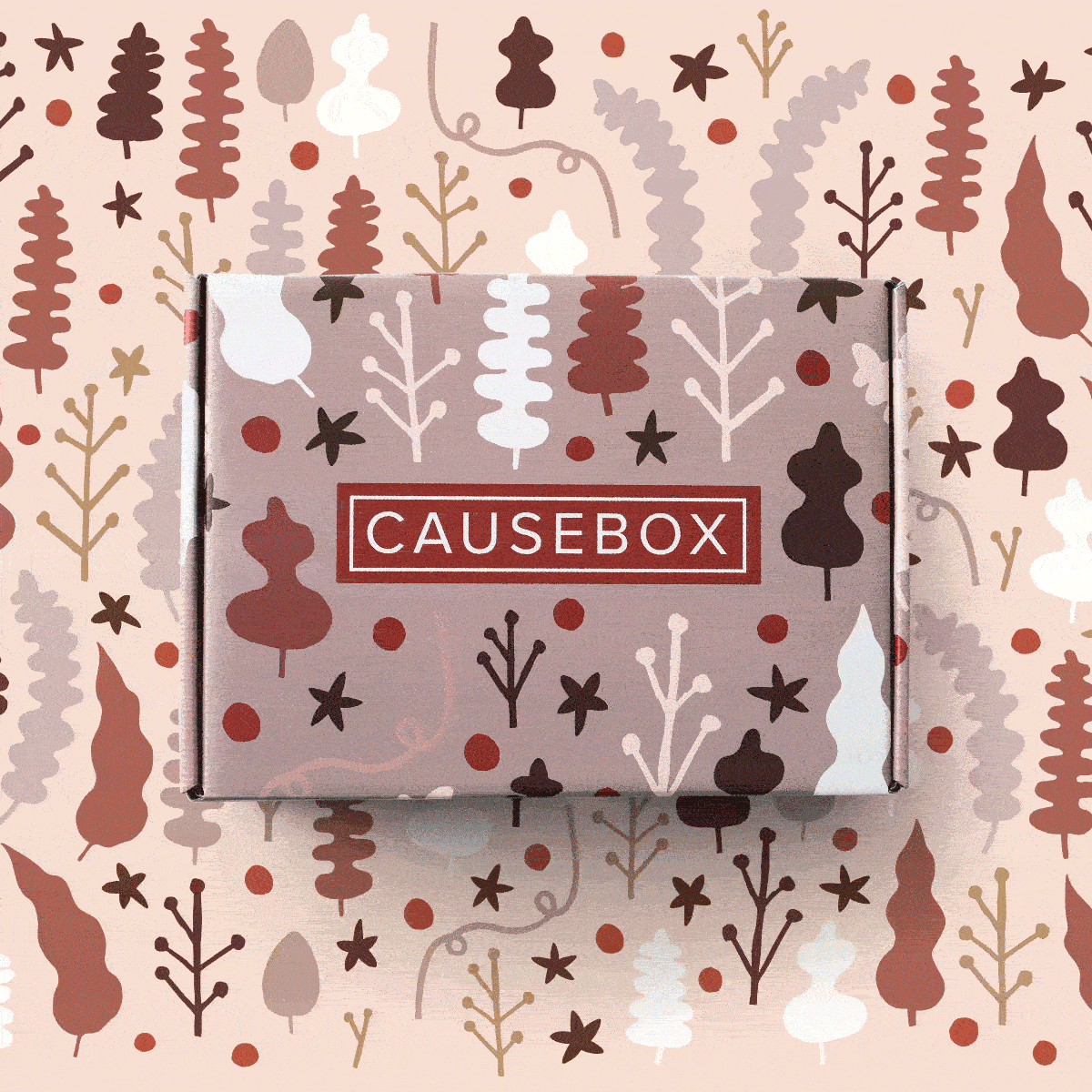 causebox-winter-2018-box-spoiler-1-coupon-hello-subscription