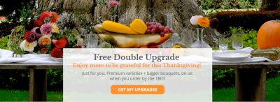 Enjoy Flowers Thanksgiving Coupon: Get Free Double Upgrade With Farm Fresh Bouquet Subscription!