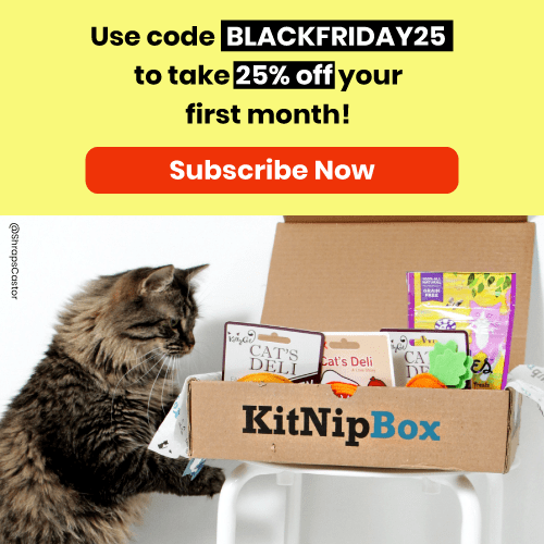 cat subscription box