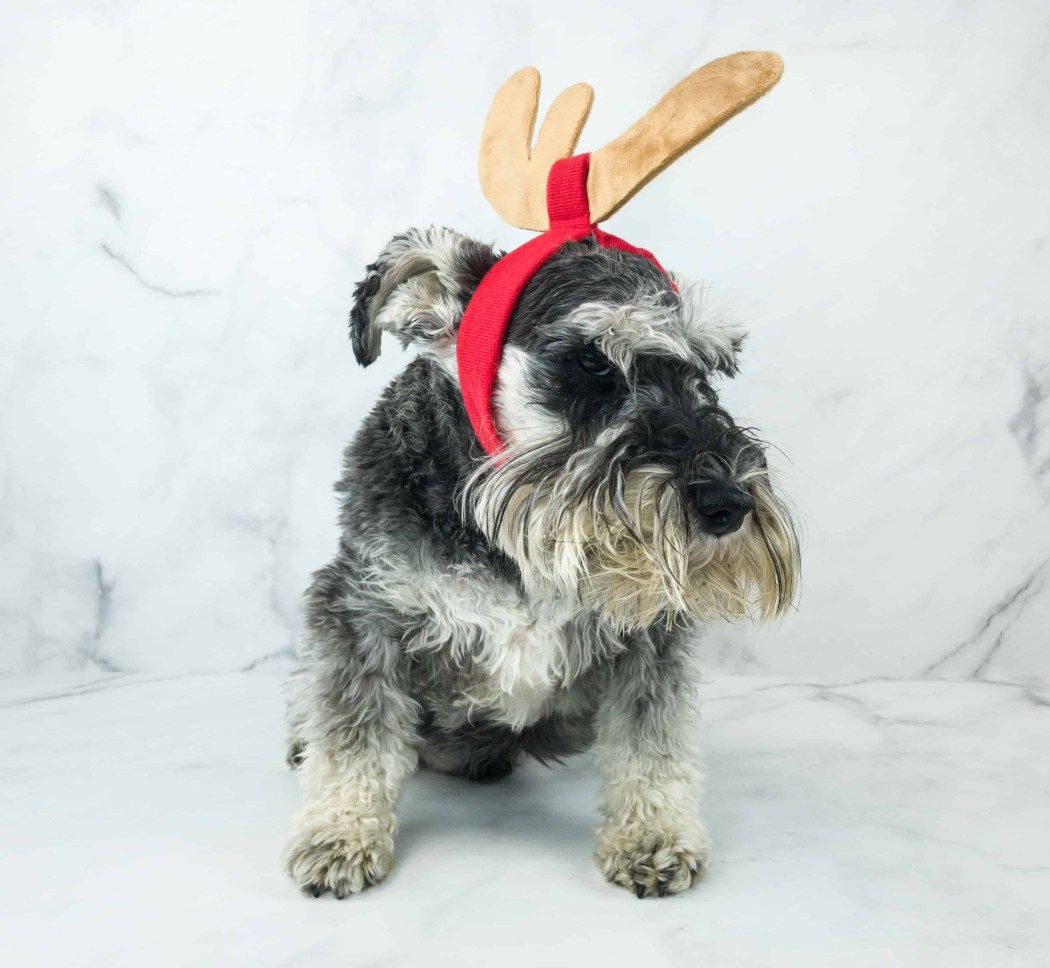 ABSOLUTE LAST CALL BarkBox Limited Edition Theme Grinch Guarantee