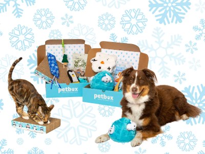PawPack Merges With PetBox + December 2018 Theme Spoilers+ 50% Off Coupon!
