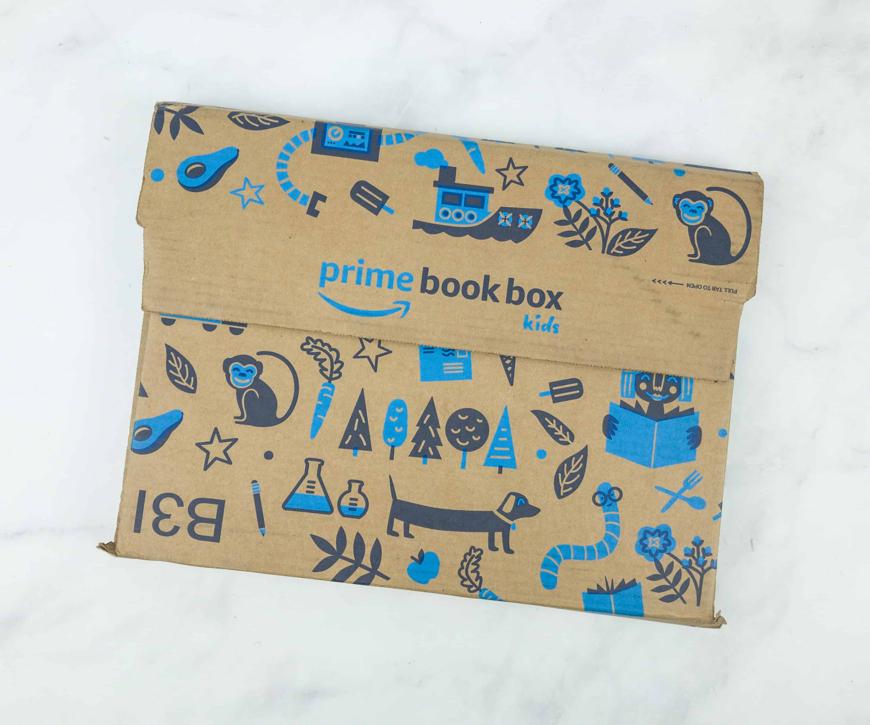 Amazon Book Box Kids December 2018 Subscription Box Review - AGE 3-5 ...