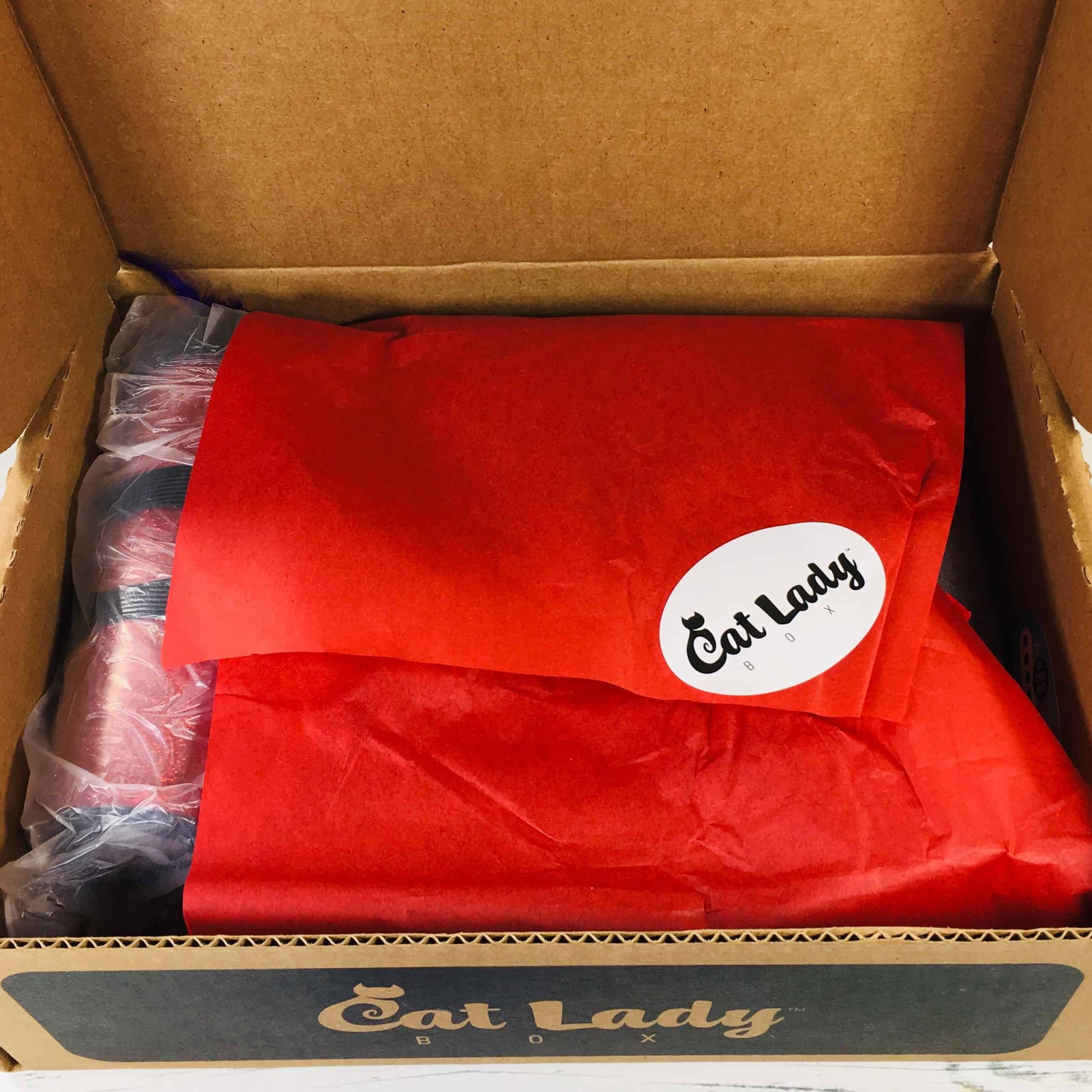 Cat Lady Box December 2018 Subscription Box Review + Coupon Hello