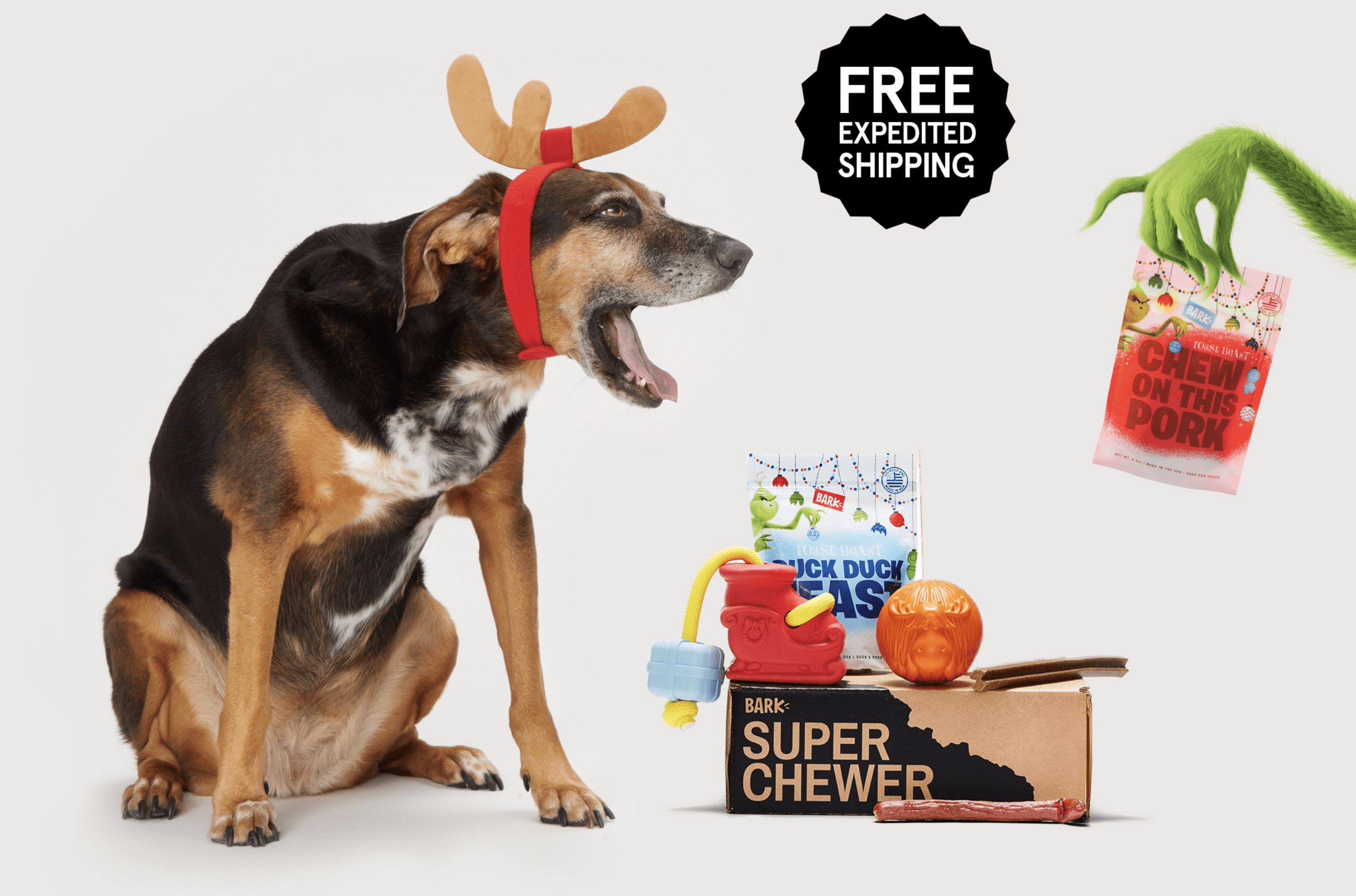 Barkbox super chewer 2024 promo code 2018