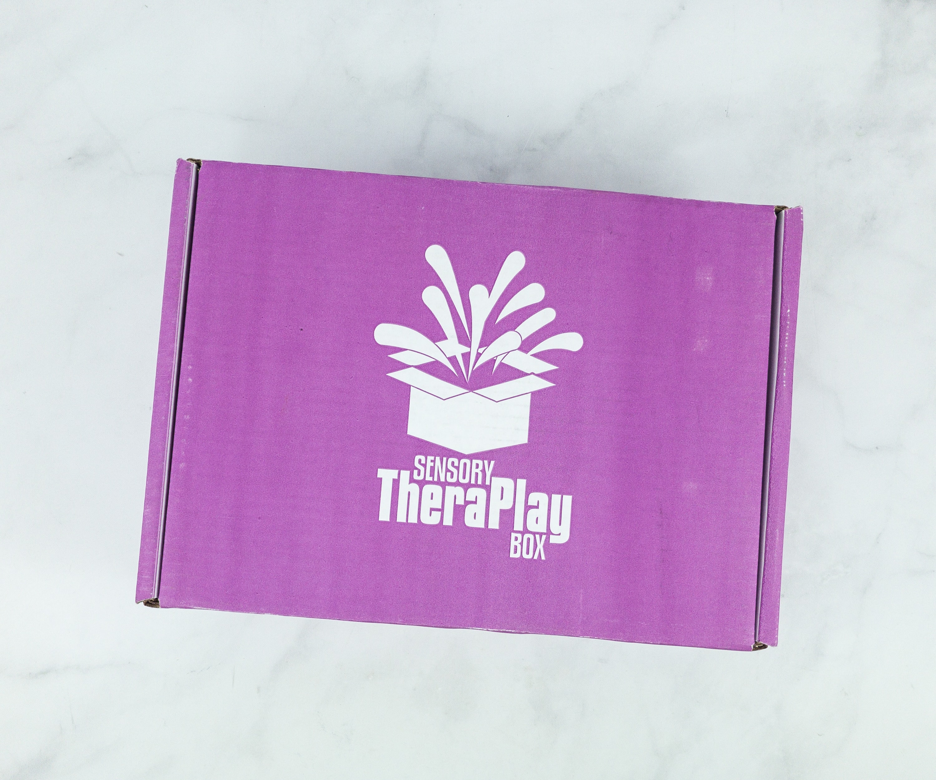 Sensory TheraPlay Box August 2022 Review + Coupon