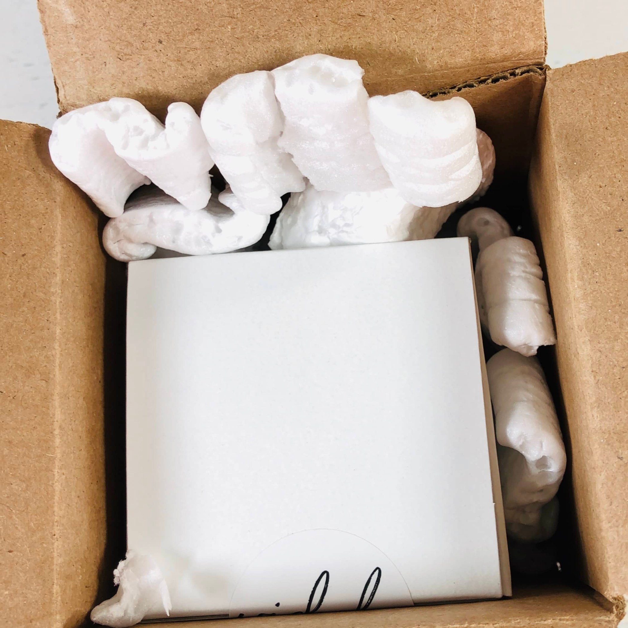 Wicksly January 2019 Subscription Box Review Hello Subscription