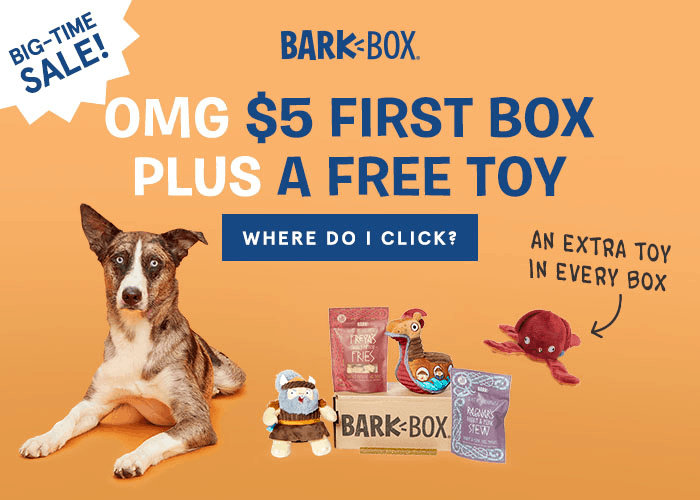 barkbox toys for sale