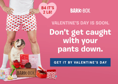 BarkBox Classic + Super Chewer February 2019 Spoilers & Coupon!