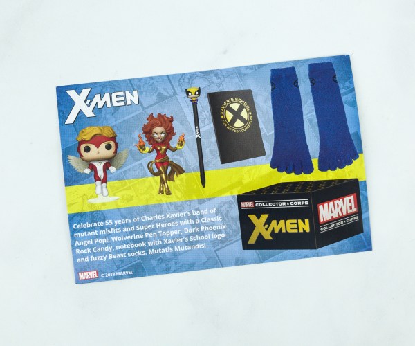 marvel collector corps january 2021