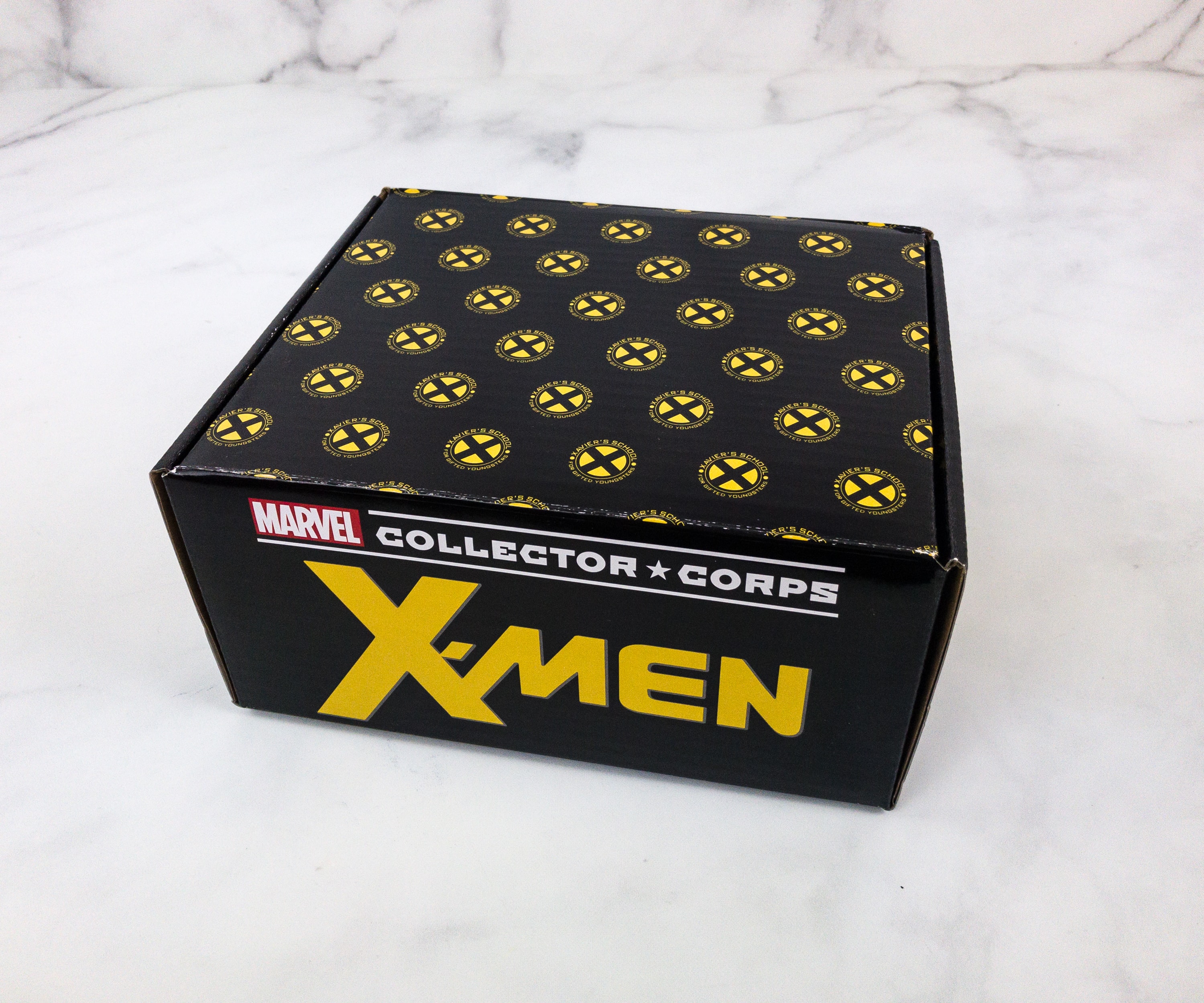 Marvel Collector Corps January 2019 Subscription Box Review