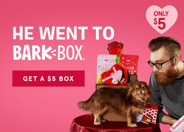 barkbox first box $5