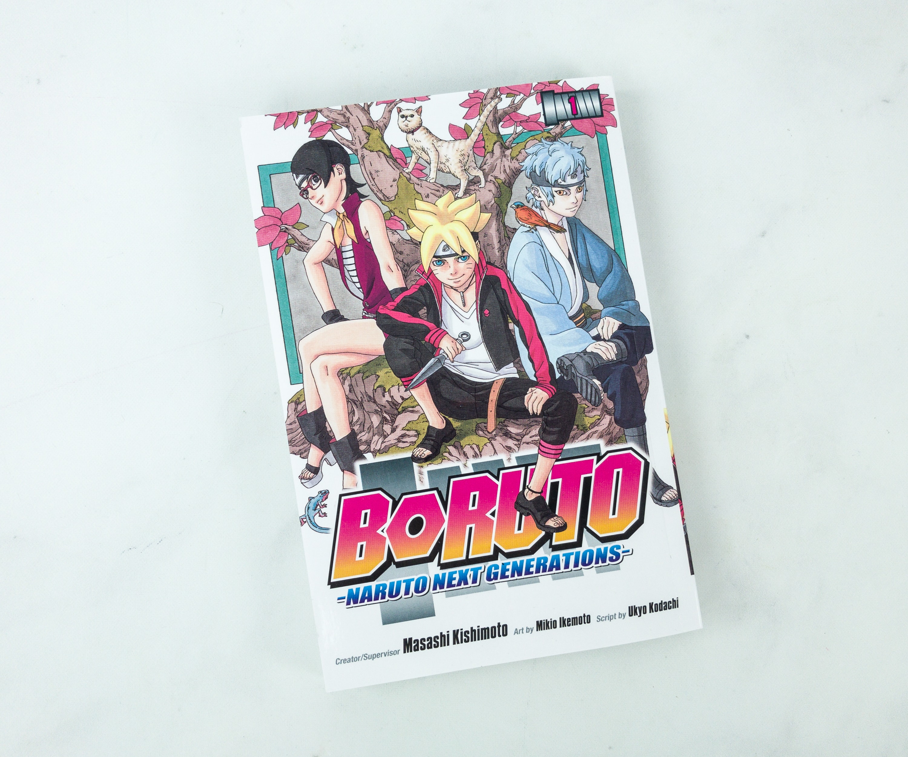 Boruto Naruto Next Generations Manga Anime Book - (Loot Crate