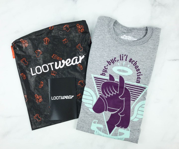 Loot Wearables Subscription by Loot Crate January 2019 Review & ﻿Coupon - hello subscription