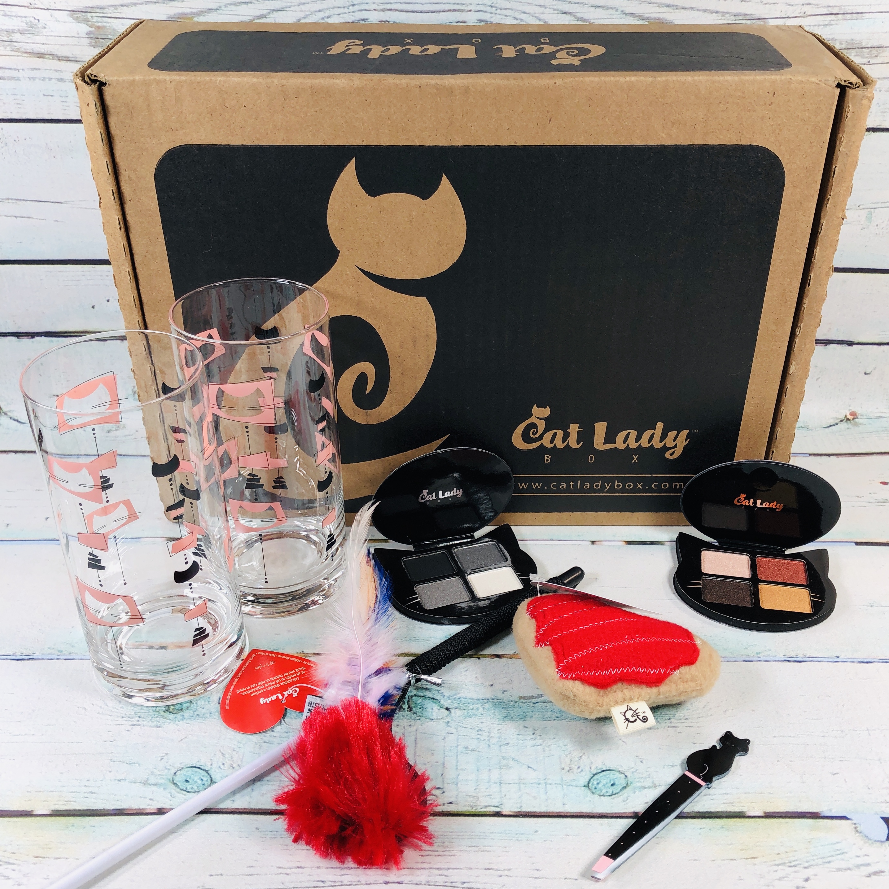 Cat Lady Box February 19 Subscription Box Review Coupon Hello Subscription