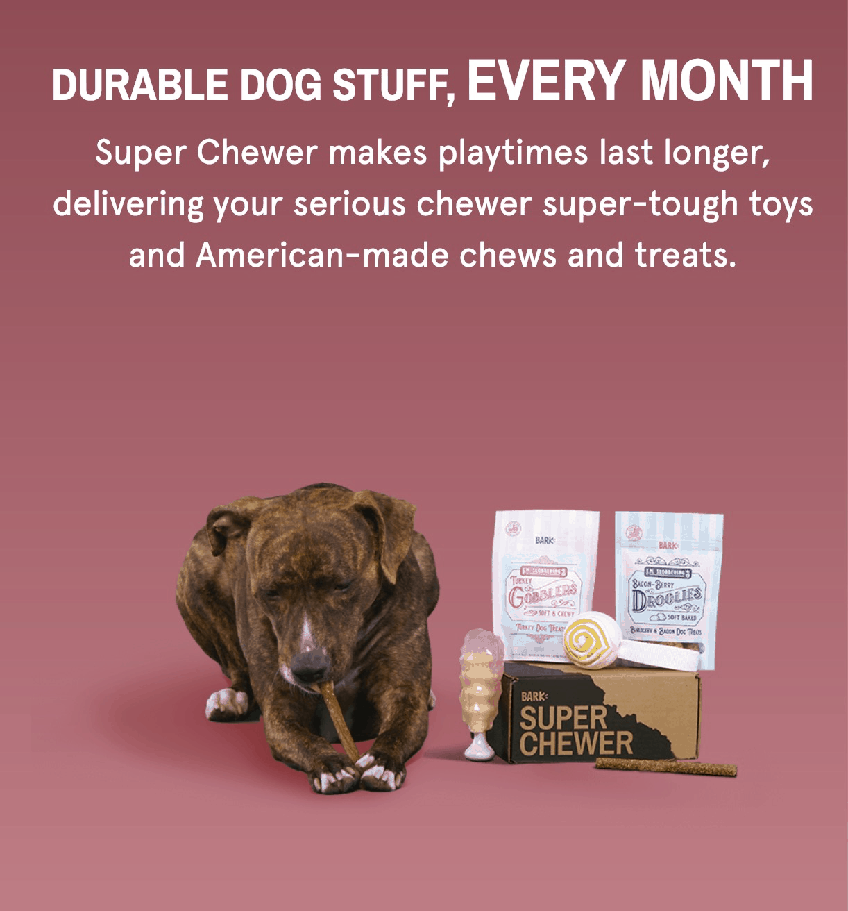 BarkBox Super Chewer Limited Edition Valentine's Day Theme Still